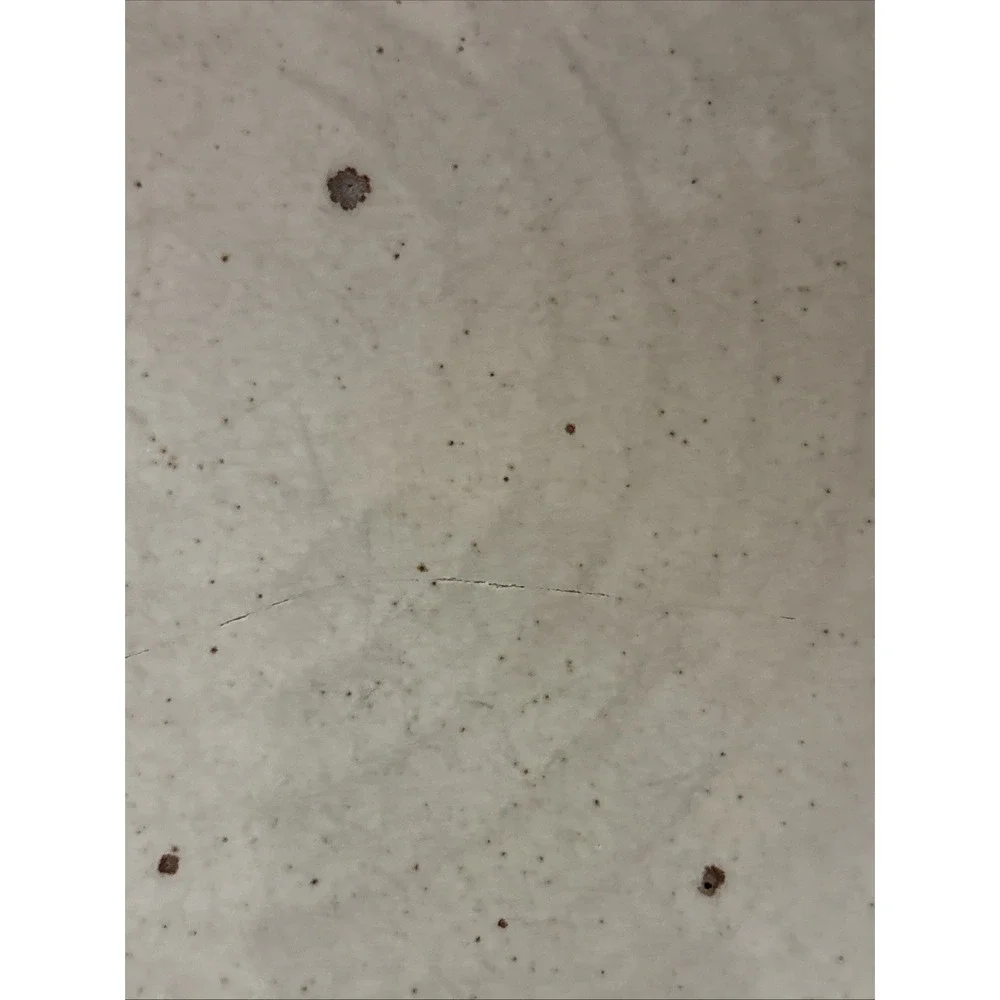 Dansk BLT Sandstone Dinner Plate. 9-5/8